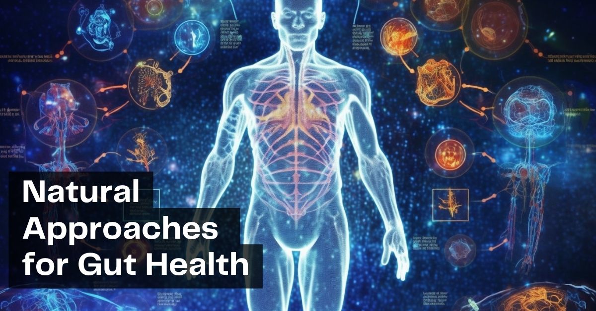 Natural Approaches for Gut Healing Restore and Optimize Your Gut