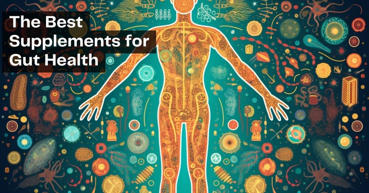 The best supplements for gut health