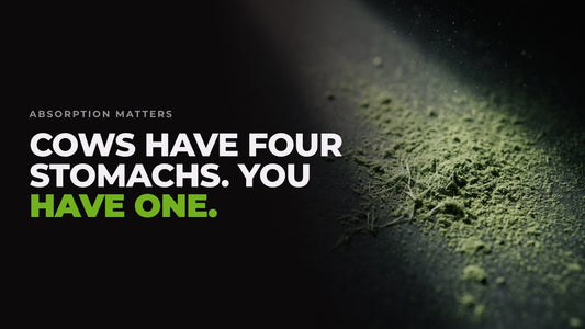 Macro shot of fibrous grass-green barley powder lit hard against black, captioned “Cows have four stomachs. You have one.”