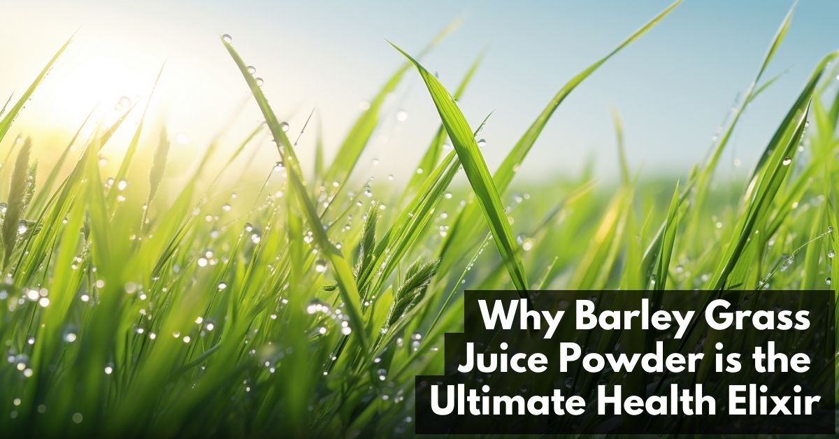 Barley Grass Juice Powder Benefits