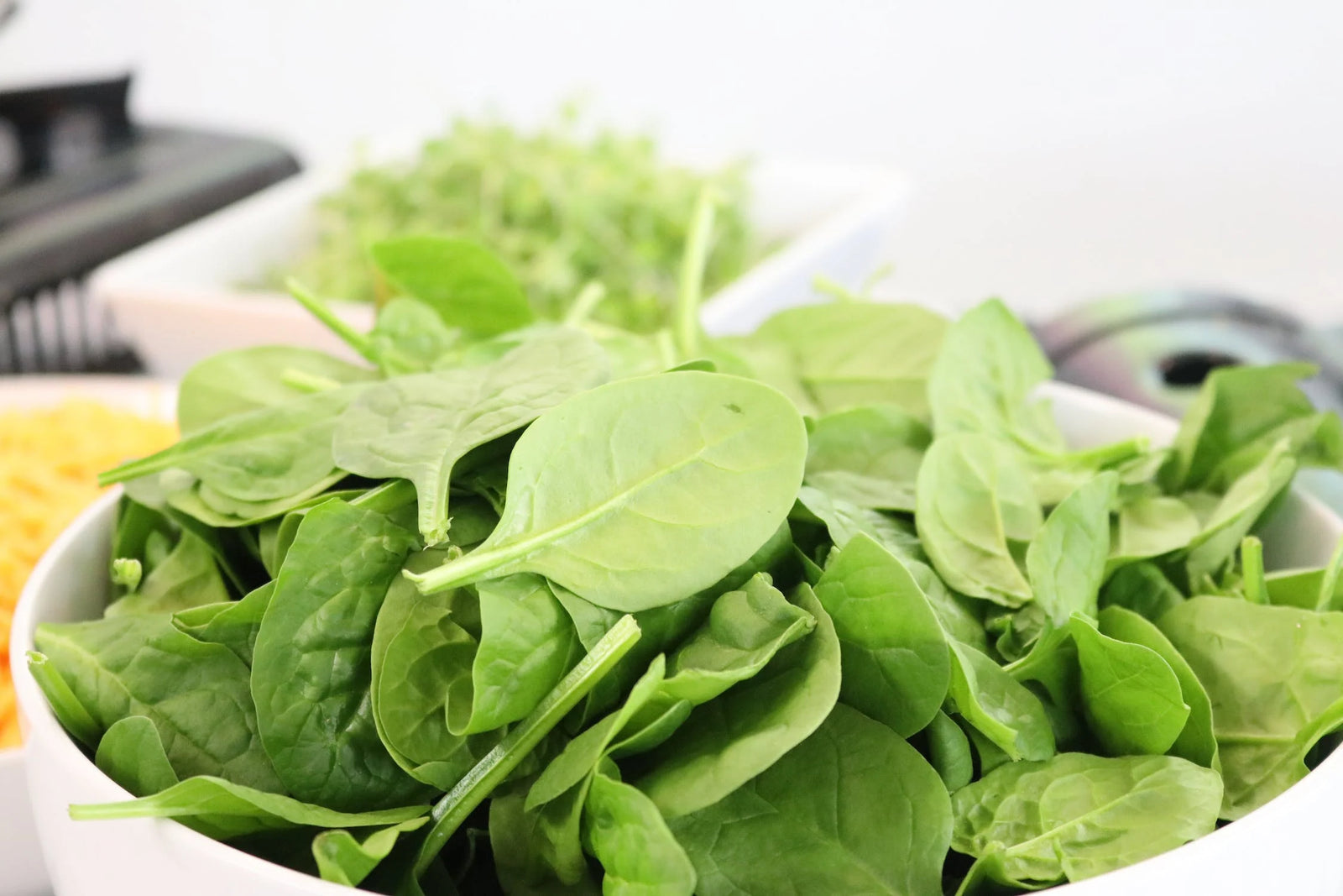 Bowl of Spinach