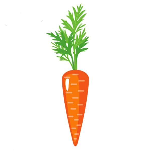 Carrot powder in super greens powder