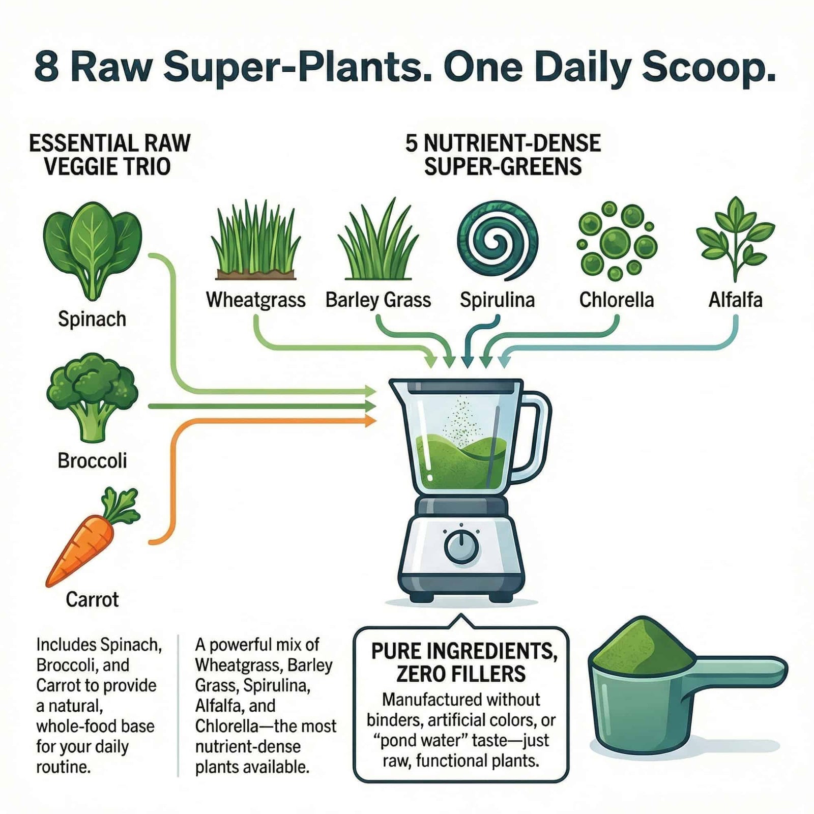 Illustration of raw super-plants and a blender with text about a daily scoop product. Greens Ingredients in UK alternative to AG1 Super Greens Powder